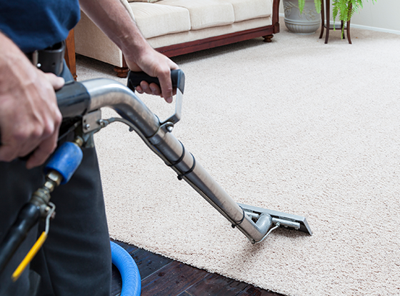 steam cleaning carpets in Nuthall