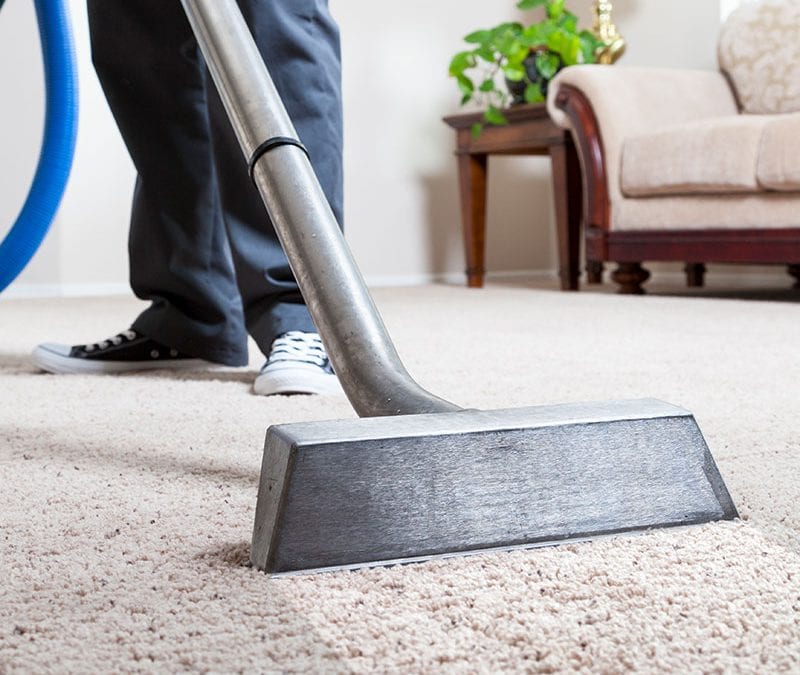 Carpet cleaning services 