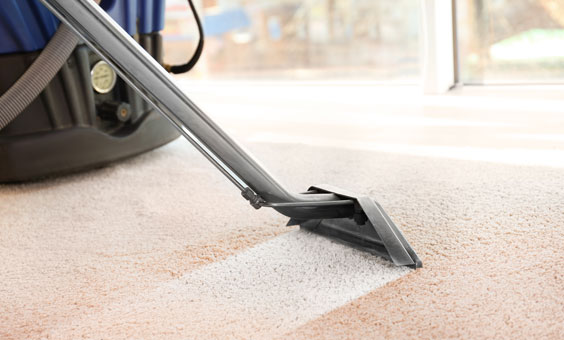 professional carpet cleaning