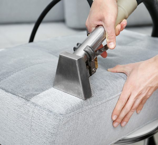 Dry cleaner's employee removing dirt from furniture in flat, closeup